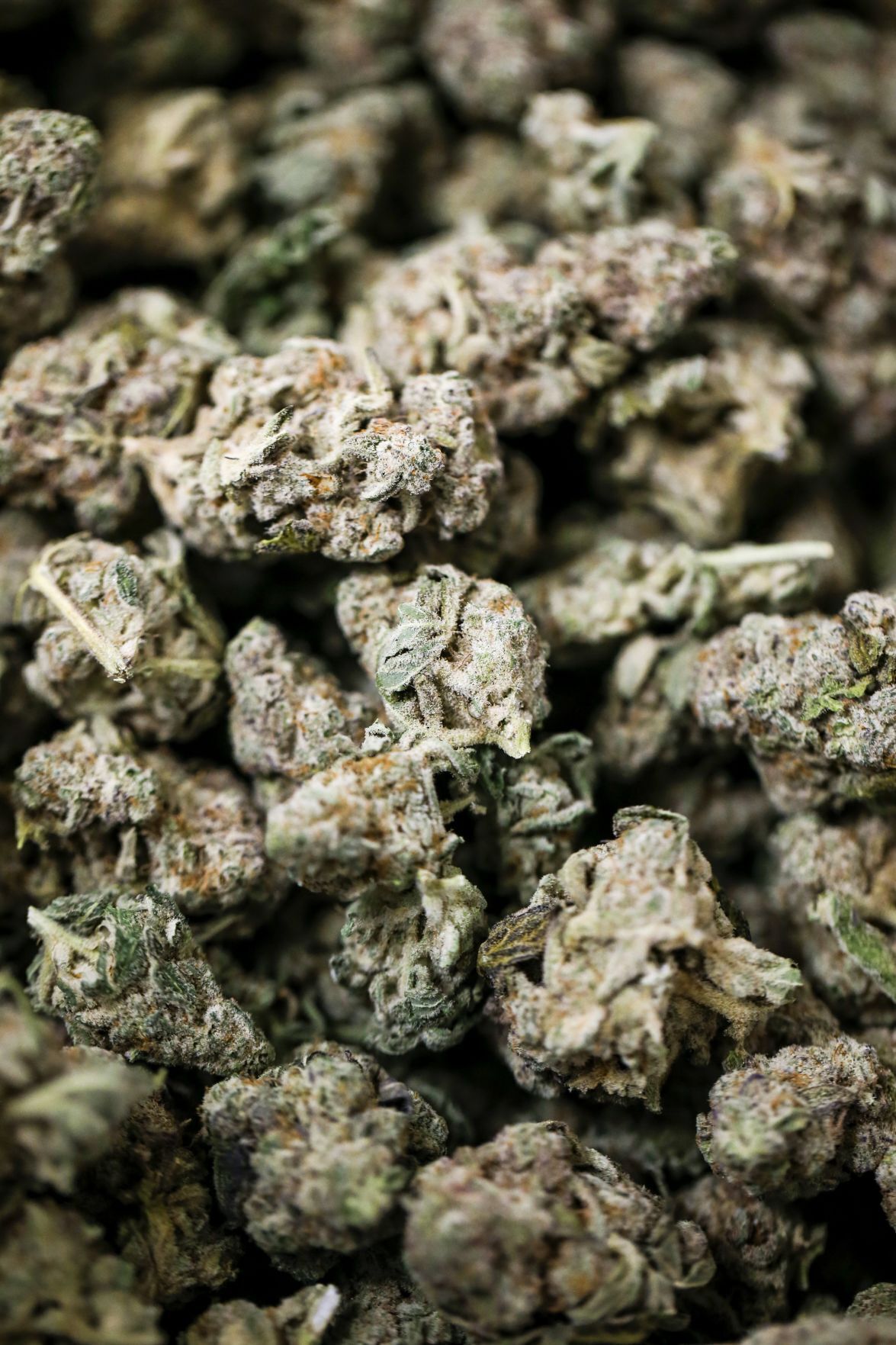 20210919_MET_WEED